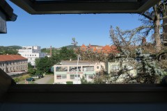 IMG_9794