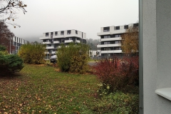 IMG_20201108_124707